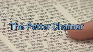 Petter Chamor / Redemption of The Firstborn