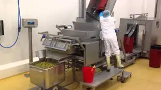 Olijven ontzouten | Machinefabriek van Rijn
