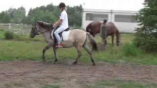 Nejder 3