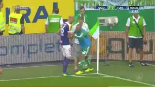 Steffen Hoffmann und offensichtlich schwachsinniger Rapid-Ordner zucken aus