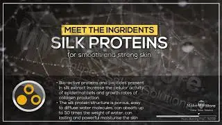 Silk Proteins