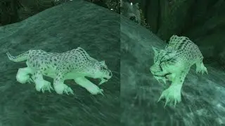 How to Tame a Ghost Saber in TBC