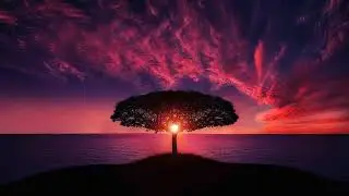 Relaxing asian music, Soft Music, Song for Sleep