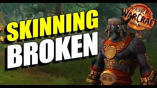 Complete Skinning Guide - World of Warcraft - The War Within Season 1