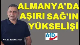 Almanya’da Aşırı Sağ’ın Yükselişi: AfD İktidara mı Yürüyor?