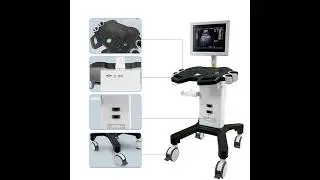 Trolley Black and White Ultrasound System-DW 750-Dawei Medical