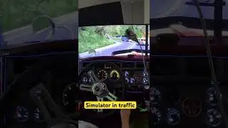 Simulator in traffic horrible roads Colombias | watch the hall video |.#viralvideo #viralreels #cdl