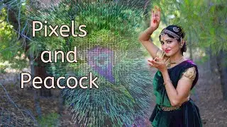 Pixels and Peacock | Bharatanatyam | Sukanya Kumar | Morgan Embry and Gunindu Abeysekera
