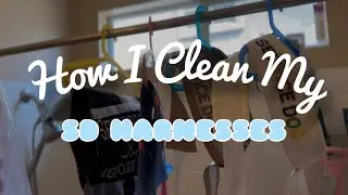 How I Clean My Service Dog Harnesses