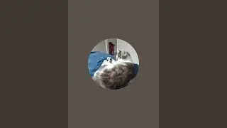andrew richards is live