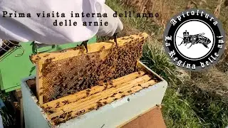 Prima visita interna dell'anno delle arnie