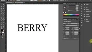 Illustrator 2-1
