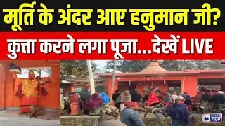 Dog Worship Hanuman Ji Live: 36 घंटे हनुमान जी की परिक्रमा लगा रहा कुत्ता | Breaking | India News