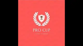 Финал LL Pro Cup Полупанов/ Кремер vs Тюрин/Тюрина