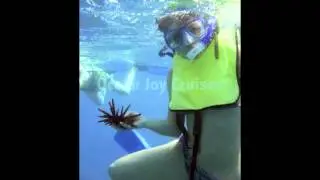 Ocean Joy Cruises December 21 2012