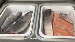 Yarı Otomatik Kase Kapama Makinesi W450VG - BALIK PAKETLEME