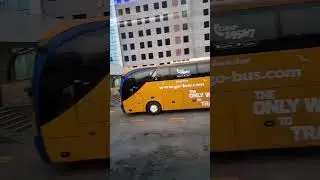 go bus from nasir City Egypt