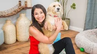 Adoption Ever After - Valentine - Home & Family