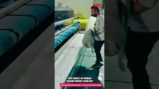 Automatic Carpet Washing Machine &ndash; Deep Clean with Rotating Brushes