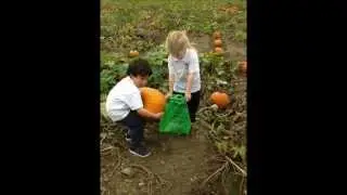 Reception Pick Pumpkins at Garson Farm