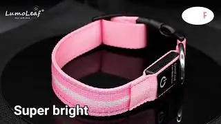 LumoLeaf Reflective Dog Collars