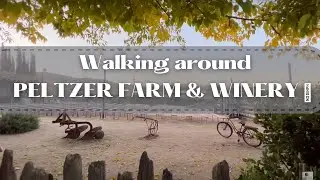 Things to do in California - Walking around Peltzer Farm & Winery