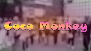 Coco Monkey by Criss Bailey