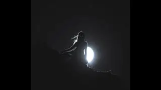 (FREE) Melodic Type Beat - 