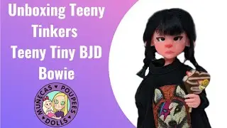 Unboxing Teeny Tinkers Teeny Tiny BJD Bowie
