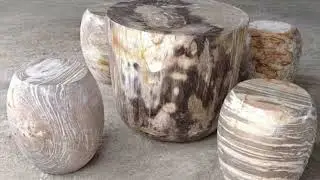 Fossilized Wood Furniture Collection #petrifiedwood #uniquefurniture #livingroomfurniture #fossils
