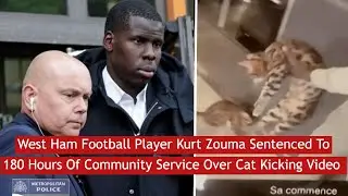 Football Player Kurt Zouma Sentenced To 180 Hours Of Community Service Over Cat Kicking Video #News