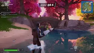 Fortnite : Top 1 Mode Delulu