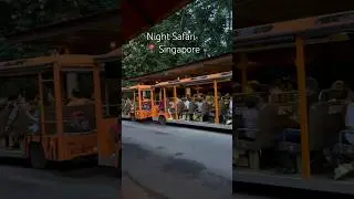 SINGAPORE🇸🇬 |Night Safari #nightsafari #nightsafarisingapore #safari #deer #lion #elephant #hippo