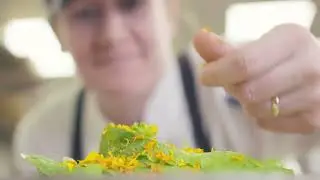 Commonwealth Senior Living x Babylon MicroFarms