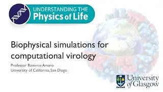 Rommie Amaro, University of California,  'Biophysical simulations for computational virology'