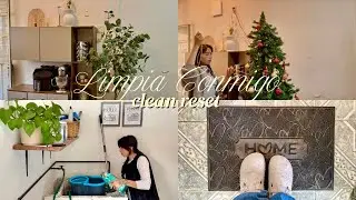 Días cotidianos de una mamá que vive sola con 2 hijos a sus 25 años ✨ quitamos el árbol de navidad🎄