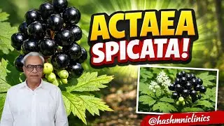 Actaea Spicata Secrets: Natural Remedy for Wrist Pain, Gout, and Beyond | hashmiclinics
