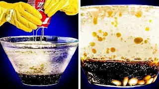 FANTASTIC SCIENCE EXPERIMENTS to make your jaw dropping