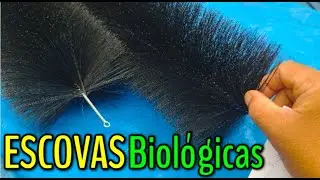 ● Testando ESCOVAS BIOLÓGICAS na decantação.
