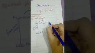 Transamination ,amino acid with easy explanation biochemistry