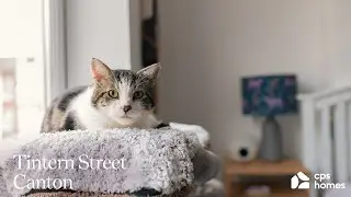 Tintern Street, Canton | Cardiff | Property Video Tour