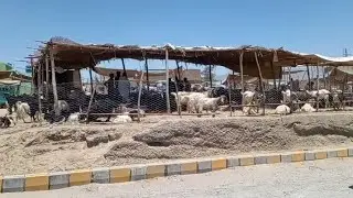 Quetta Mandi in 2025
