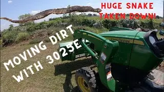 Moving dirt with the John Deere 3025E compact tractor. Plus huge snake taken down!