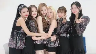 Funny Moments of Momoland | Joy-Angel concert live in vlive+