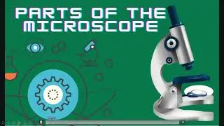 Microscope  part 2   grade 6