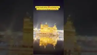 Golden temple live 😍 #goldentemple #amritsar #shorts #viral #ekanshbrijwasi #fyp