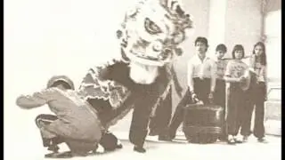 (For mobile device) Germany Holland Hung Fut Pai kung Fu Introduction | 德荷洪佛-簡介
