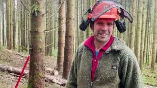 Holzrücken im Allgäu mit einachsigem Rückewagen