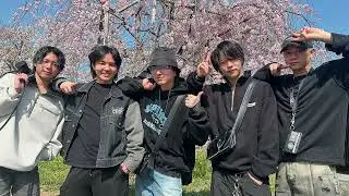봄에 듣는 노벨브라이트 노래