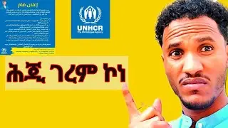 ሕጂ ግረም ኣብ ግብጺ እትረከቡ ሓዲሲ ሓበረታ ብምኽንያት ሓዲሽ ዓመት ዚምለከት